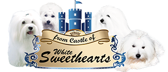 from Castle of white Sweethearts